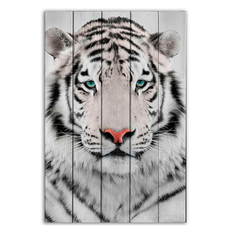  White Tiger   -- | Loft Concept 