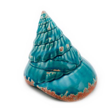  Shell Turquoise #2 ̆  -- | Loft Concept 