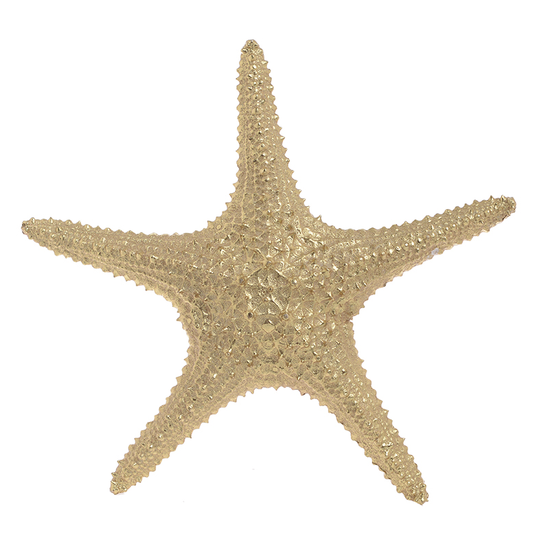  Starfish Gold 27   -- | Loft Concept 