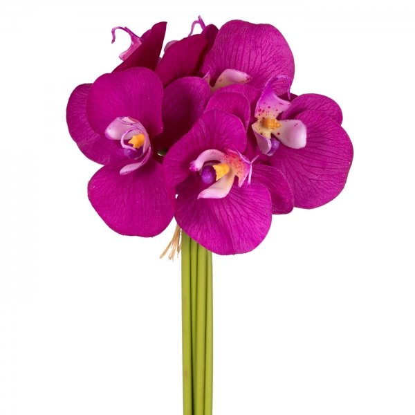   Bouquet Of Orchids    -- | Loft Concept 