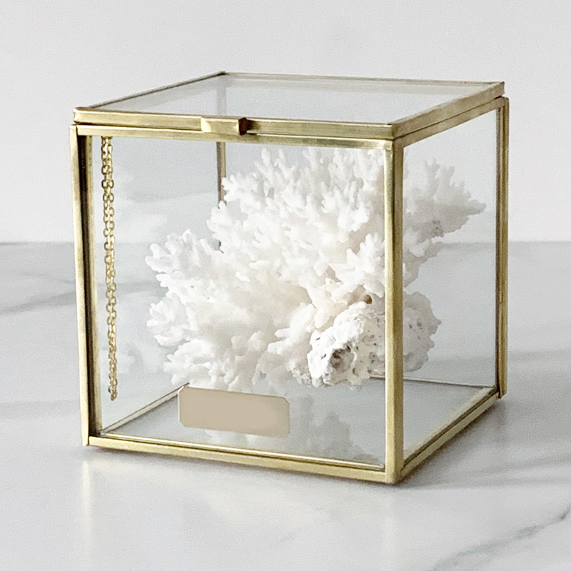  Natural Coral Glass Box S   -- | Loft Concept 