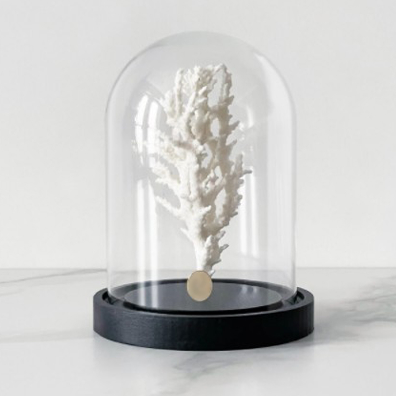  White Coral Glass Cloche   -- | Loft Concept 