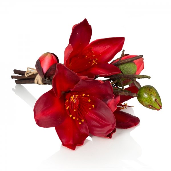    Bouquet Of Red Magnolia    -- | Loft Concept 