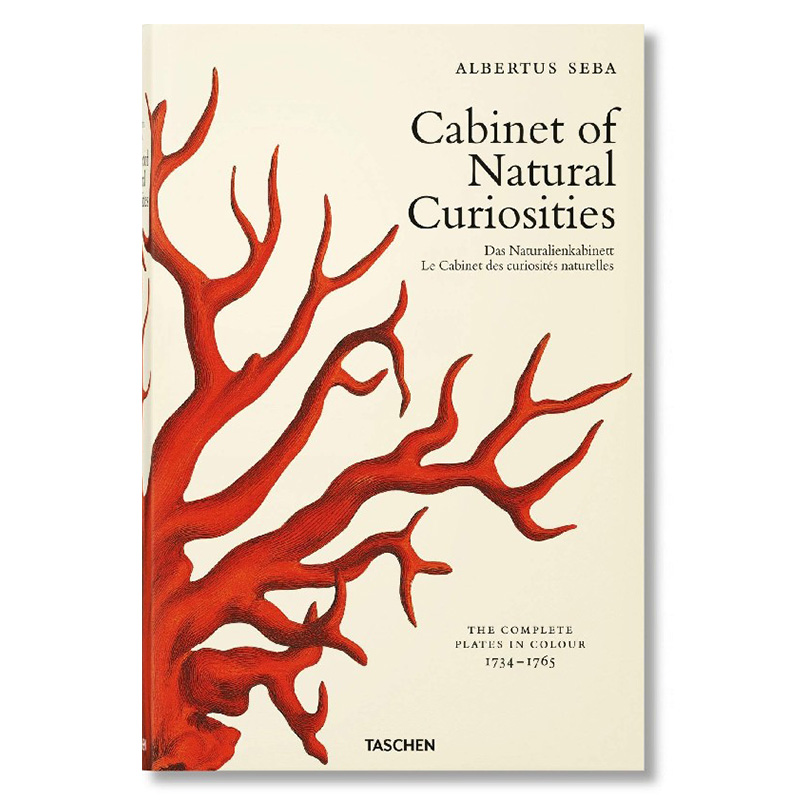 Seba. Cabinet of Natural Curiosities   -- | Loft Concept 