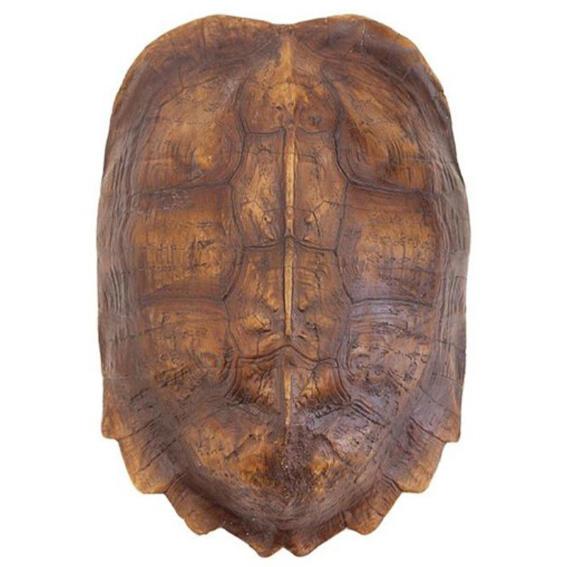  Turtle Shell Natural Light Brown   -- | Loft Concept 