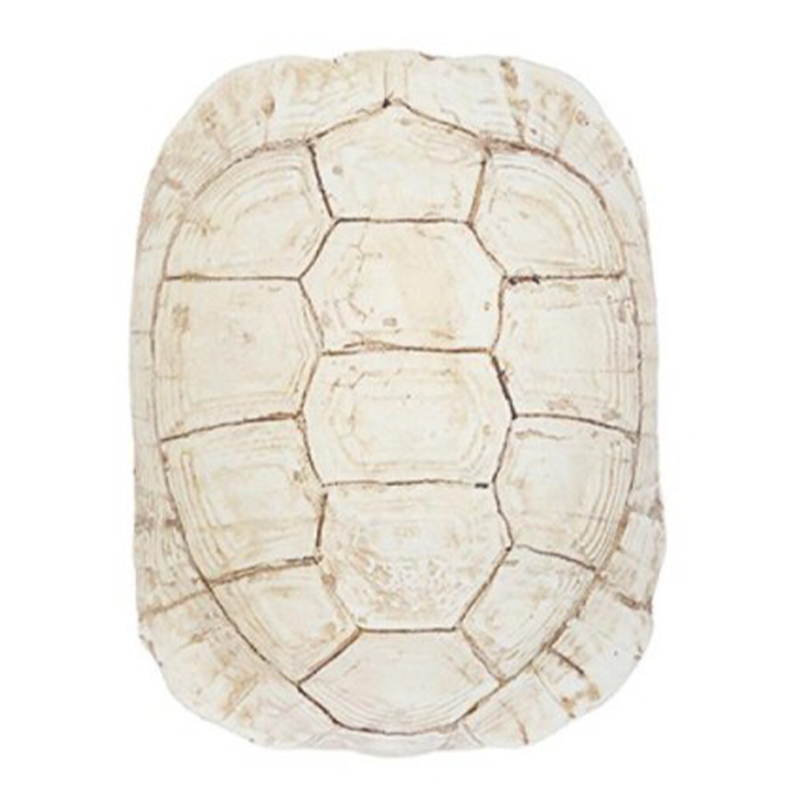  Turtle Shell White   -- | Loft Concept 