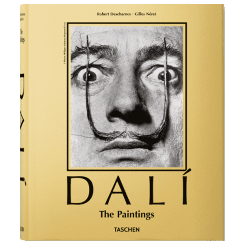 Dali. The Paintings 27 x 22 cm   -- | Loft Concept 