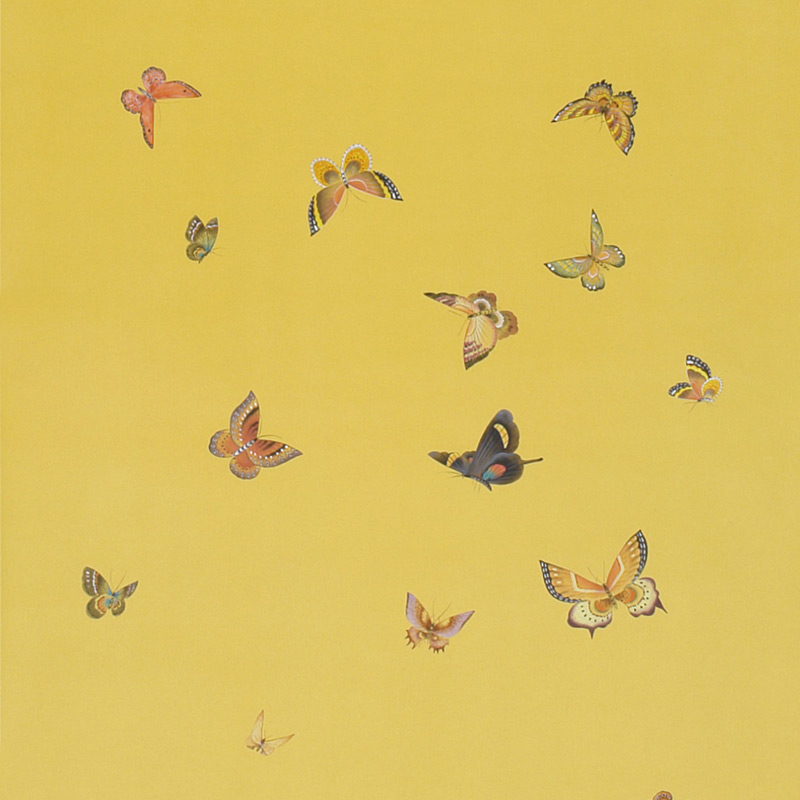    Butterflies Monarch on dyed paper   -- | Loft Concept 