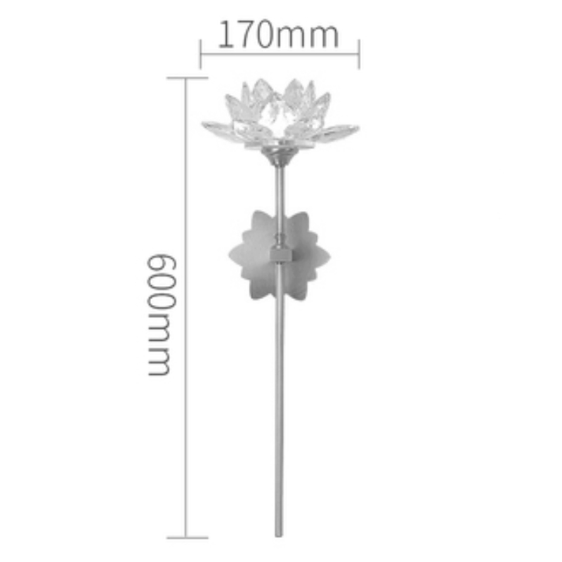     Lotus flower Wall Clear Glass D  --
