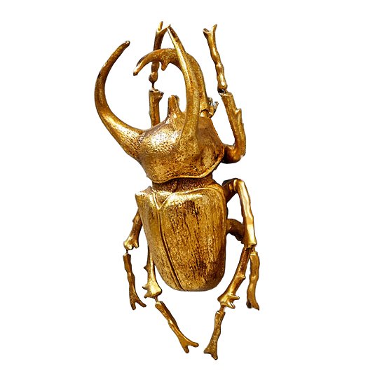    Big Horned Beetle   -- | Loft Concept 