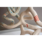 Скульптура «Papañca» варинант исполнения - 3 | Loft Concept в Ростове-на-Дону