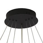 Люстра светодиодная с 3-мя плафонами в форме колец из акрила и алюминия с пультом для регулировки света Ring Horizontal Anthracite варинант исполнения - 5 | Loft Concept в Ростове-на-Дону