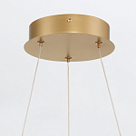 Люстра золотого цвета с 2-мя светодиодными кольцами Eurofase варинант исполнения - 4 | Loft Concept в Ростове-на-Дону