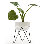 Кашпо Elevated Planters Luna 54 белое варинант исполнения - 2 | Loft Concept в Ростове-на-Дону