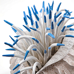 Статуэтка тропический фрукт Tropical Fruit White Blue варинант исполнения - 1 | Loft Concept в Ростове-на-Дону