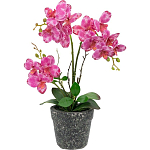 Декоративный искусственное растение Pink orchid варинант исполнения - 1 | Loft Concept в Ростове-на-Дону