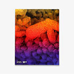 Редкое подарочное издание Yayoi Kusama: 1945 to Now варинант исполнения - 3 | Loft Concept в Ростове-на-Дону