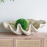 Блюдо декоративное в виде ракушки Seashell варинант исполнения - 3 | Loft Concept в Ростове-на-Дону