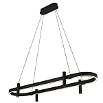 Люстра подвесная овальная черная  Black Light Fixtures варинант исполнения - 1 | Loft Concept в Ростове-на-Дону