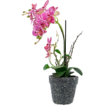 Декоративный искусственное растение Pink orchid варинант исполнения - 4 | Loft Concept в Ростове-на-Дону