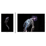 Монография художника Tavares Strachan - There is Light Somewhere варинант исполнения - 6 | Loft Concept в Ростове-на-Дону