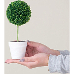 Декоративный искусственное растение Boxwood One варинант исполнения - 6 | Loft Concept в Ростове-на-Дону