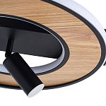 Потолочный светильник круглый GAVIN WOOD варинант исполнения - 2 | Loft Concept в Ростове-на-Дону