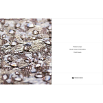 Книга Maison Lesage: Haute Couture Embroidery Mauries Patrick варинант исполнения - 11 | Loft Concept в Ростове-на-Дону