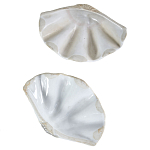 Фигурка из фарфора в виде одной створки ракушки Marine Tridacna варинант исполнения - 3 | Loft Concept в Ростове-на-Дону