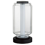 Настольная лампа с прозрачным плафоном Jarrty варинант исполнения - 1 | Loft Concept в Ростове-на-Дону