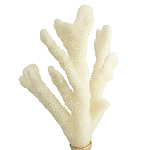 Статуэтка Stand Coral варинант исполнения - 2 | Loft Concept в Ростове-на-Дону