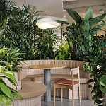 Подвесной светильник круглый белого цвета из металла Vita Cuna варинант исполнения - 8 | Loft Concept в Ростове-на-Дону