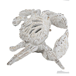 Статуэтка краб с детализированной текстурой в белом цвете Marine Accessories варинант исполнения - 4 | Loft Concept в Ростове-на-Дону