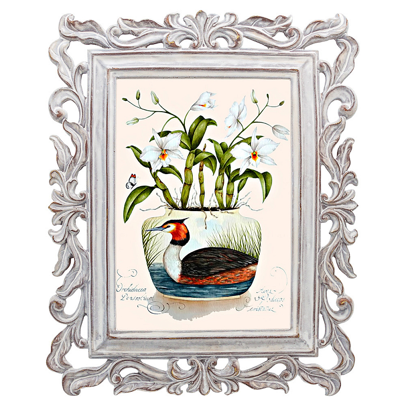 Постер Tropical Orchid Poster Мульти Белый винтажная патина Постер Tropical Orchid Poster Мульти Белый винтажная патина в Ростове-на-Дону | Loft Concept