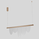 Люстра подвесная с пятью прозрачными элементами в форме лепестков и золотистым металлическим основанием DALI Tonin Casa варинант исполнения - 2 | Loft Concept в Ростове-на-Дону