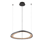 Люстра светодиодная  Iris варинант исполнения - 2 | Loft Concept в Ростове-на-Дону