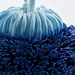 Статуэтка Синий тропический фрукт Tropical Fruit Pandora 1 варинант исполнения - 4 | Loft Concept в Ростове-на-Дону