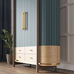 Шкаф «Гавайи» варинант исполнения - 2 | Loft Concept в Ростове-на-Дону