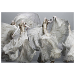 Alexander McQueen: Savage Beauty варинант исполнения - 2 | Loft Concept в Ростове-на-Дону