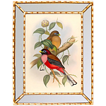 Постер с изображением птиц и цветов в зеркальной раме Blooming Birds Poster варинант исполнения - 7 | Loft Concept в Ростове-на-Дону
