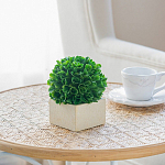 Декоративный искусственное растение Square boxwood варинант исполнения - 6 | Loft Concept в Ростове-на-Дону