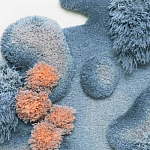 Тканый вручную Большой абстрактный гобелен Frost Forest варинант исполнения - 1 | Loft Concept в Ростове-на-Дону