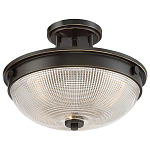 Потолочный светильник со стеклянным плафоном в виде купола Quoizel варинант исполнения - 8 | Loft Concept в Ростове-на-Дону