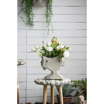 Кашпо Curly baby варинант исполнения - 10 | Loft Concept в Ростове-на-Дону