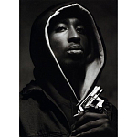 Подарочная книга величайший фотограф Альберт Уотсон The Vienna album Albert Watson варинант исполнения - 2 | Loft Concept в Ростове-на-Дону