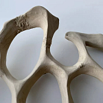 Блюдо «Бежевый коралл» варинант исполнения - 3 | Loft Concept в Ростове-на-Дону