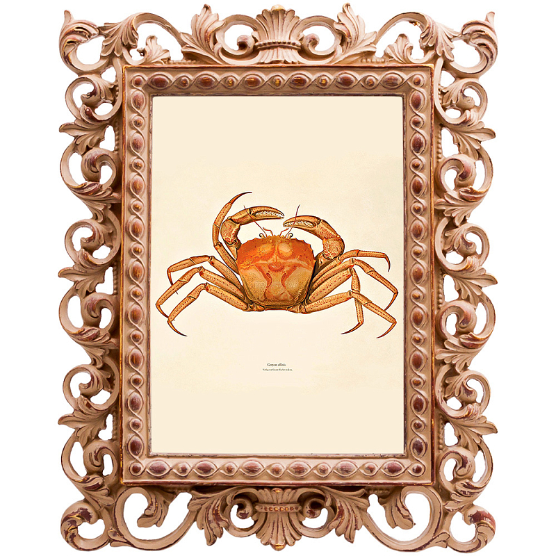  Ocher Crab Poster    -- | Loft Concept 