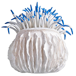 Статуэтка тропический фрукт Tropical Fruit White Blue варинант исполнения - 3 | Loft Concept в Ростове-на-Дону