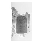 Встраиваемый в стену гипсовый светильник под покраску с эффектом разрушенной стены Antiquity Athena варинант исполнения - 2 | Loft Concept в Ростове-на-Дону