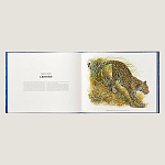 Лимитированная подарочная книга HERMES Fierce and Fragile book, English version варинант исполнения - 3 | Loft Concept в Ростове-на-Дону